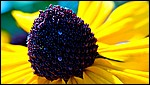 Computer Desktop Wallpapers 092.jpg