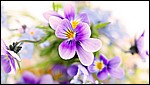 HD Wallpaper 23.jpg
