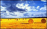 HD Wallpapers 58.jpg