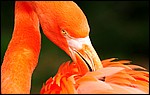 HD Wallpaper 63.jpg