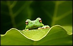 HD Wallpaper 119.jpg