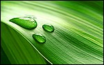 Best HD Wallpaper 11.jpg